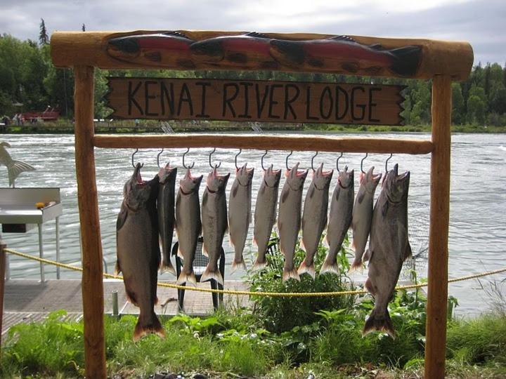 Kenai River Lodge Soldotna Kültér fotó